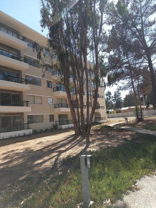 Hermoso Dpto Entre Bosque Y Piscina. El Tabo