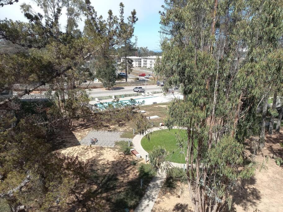Apartamento Hermoso Dpto Entre Bosque Y Piscina.