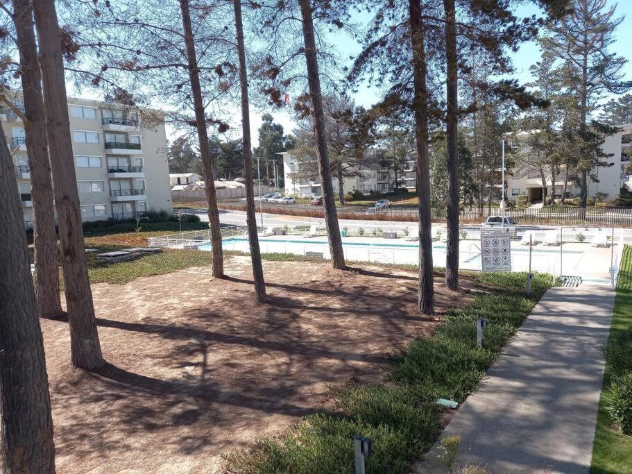 Apartamento Hermoso Dpto Entre Bosque Y Piscina.