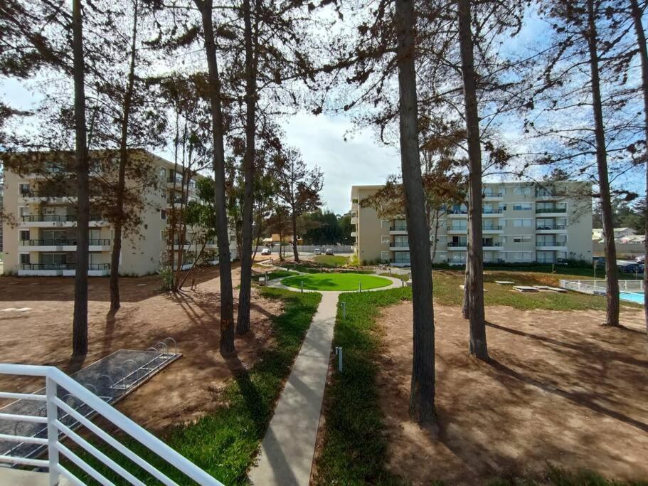 Hermoso Dpto Entre Bosque Y Piscina. * El Tabo