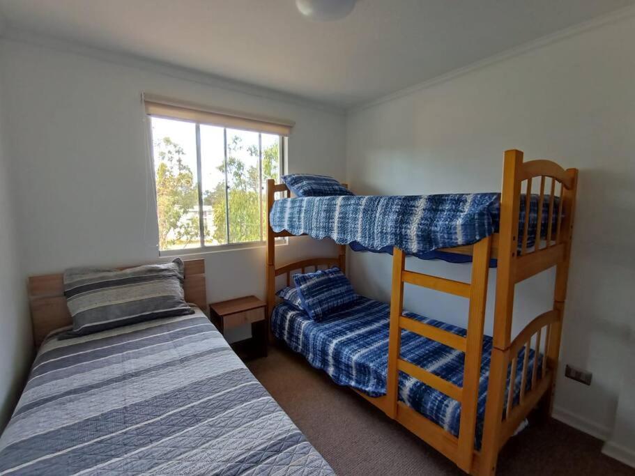 Apartamento Hermoso Dpto Entre Bosque Y Piscina. El Tabo